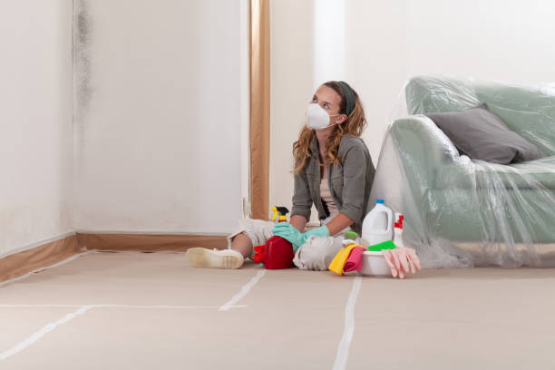 Reliable Mold Testing contractor in Warren, MI by WQB Mold Removal
